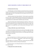 Kinh tế thị trường và những ưu nhược điểm của nó.doc