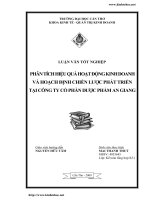 Phân tích hiệu quả hoạt động kinh doanh và hoạch định chiến lược phát triển cho công ty cổ phần Dược Phẩm An Giang.pdf