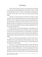 Báo cáo thực tập tại Công ty TNHH Xuân Phương.docx