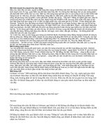 Mô hình doanh thu:doanh thu bán hàng