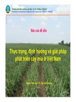  Bao cáo đề dẫn: Thực trạng, định hướng và giải pháp phát triển cây mía ở Việt Nam những năm qua