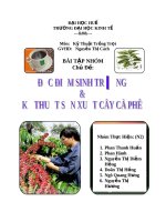 Đề Tài Đặc Điểm Sinh Trưởng Và Kỹ Thuật Sản Xuất Cà Phê.pdf
