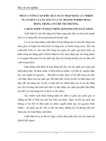 Một số giải pháp và phương hướng cơ bản nhằm nâng cao hiệu quả hoạt động của TNHH Cao Cường.docx