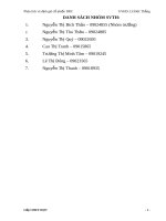 phân tích và định giá cổ phiếu DRC của công ty cổ phần cao su Đà Nẵng