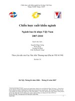 Chiến lược xuất khẩu ngành Ngành bao bì nhựa Việt Nam 2007-2010.doc