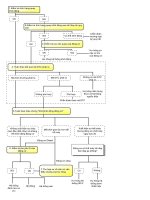 TOYOTA đào tạo kỹ thuật viên ô tô (Kỹ Thuật Viên 1) - P11