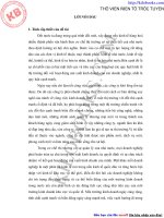 Chiến lược Marketing của công ty HANOTEX xuất khẩu hàng dệt may sang thị trường Mỹ, thực trạng và giải pháp.pdf