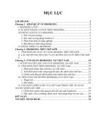 Biodiesel – nguồn nhiên liệu xanh trong tương lai.doc