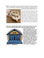 Phân tích lợi nhuận và rủi ro NHTM.doc