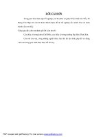 Thiết kế nhà máy chế biến bột cá và thức ăn cho cá tra, cá basa với năng suất 50T/ngày.