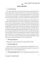 Nhập cư tại thành phố Hồ Chí Minh – Thực trạng và giải pháp.docx