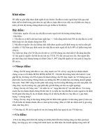 FDI kinh tế phát triển.docx