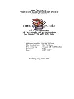 chuyên đề kế toán chế độ tiền lương công ty CP Việt Tiên Sơn.doc