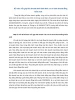 Kế toán vốn góp liên doanh dưới hình thức cơ cở kinh doanh đồng kiểm soát.pdf