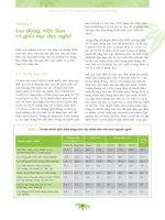 Điều tra quốc gia về vị thành niên và thanh niên Việt Nam tại 43 tỉnh thành (SAVI) năm 2003 - Bộ Y tế_ phần 2 chương 3