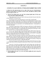 thực trạng và giải pháp để phát triển doanh nghiệp nhà nước trên địa bàn tỉnh Quảng Ngãi.doc