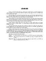 hoàn thiện hạch toán nguyên vật liệu và công cụ dụng cụ tại Công ty CP Thuốc Thú y Trung ương 1.DOC