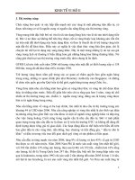 Thực trạng  thị trường vàng việt nam thời gian vừa qua.pdf