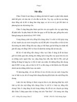 Lộ trình và giải pháp cho acu – đồng tiền chung châu á.pdf