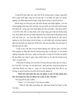 Phân tích tình hình tiêu thụ sản phẩm và một số biện pháp thúc đẩy sản lượng tiêu thụ sản phẩm của Công Ty Bia Việt Đức.DOC