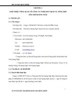 Kế toán tổng hợp tại công ty tnhh mtv dịch vụ tổng hợp dầu khí quảng ngãi.doc