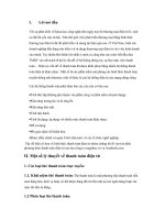 Hệ thống thanh ton trong thương mại điện tử.doc