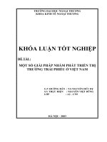 Một số giải pháp nhằm phát triển thị trường trái phiếu ở việt nam.doc
