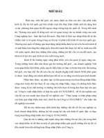 Thực trạng và biện pháp nâng cao hiệu quả nhập khẩu máy móc, thiết bị của Công ty COALIMEX.DOC