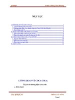 Phân tích thương hiệu Cocacola và thất bại tại Ấn Độ