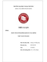 Phân tích tình hình kinh tế Việt Nam năm 2011.doc