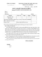 Bản cam kết tham gia bảo hiểm y tế