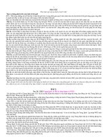  Phôi thai một trật tự kinh tế mới 