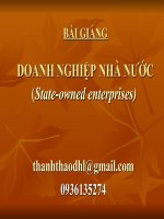 BÀI GIẢNG DOANH NGHIỆP NHÀ NƯỚC