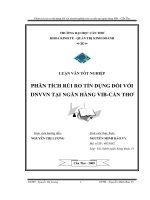 Luận văn tốt nghiệp về rủi ro tín dụng tại VIB Cần Thơ