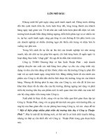 Một số biện pháp nhằm phát triển thị trường tiêu thụ ở Công ty Thuận Phát.DOC