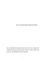 Hoạt động kinh doanh dịch vụ của các ngân hàng thương mại. Quá trình hoàn thiện và phát triển các dịch vụ của hệ thổng nhtm việt nam