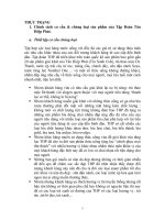 thực trạng marketing ủa công ty tân hiệp phát.doc