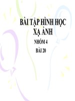 Hình hoc xạ ảnh 20