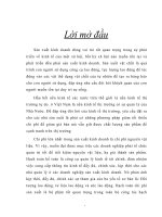 Tổ chức hạch toán nguyên vật liệu tại công ty TNHH Đầu tư Xây dựng và Thương mại An Thái.docx