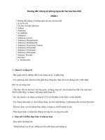 Hướng dẫn an toàn hóa chất 1