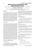  Khảo sát cấu tạo và tính chất cơ lý của một số loại gỗ cây ăn trái