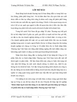 Hoàn thiện hạch toán bán hàng và xác định kết quả bán hàng tại Công ty Cổ phần Siêu thị và Xuất nhập khẩu Thương mại Việt Nam.DOC