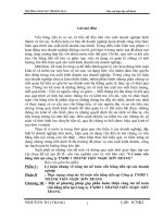 Kế toán vốn bằng tiền tại công ty TNHH 1 THÀNH VIấN NGỌC SƠN TRANG.doc