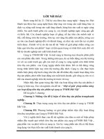 Một số giải pháp nhằm nâng cao hoạt động tiêu thụ sản phẩm tại công ty TNHH Đất Việt.DOC