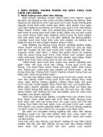 Phân tích tình hình quản lý và sử dụng vốn lưu động tại công ty cổ phần sản xuất bao bì xuát khẩu thuỷ sản.doc