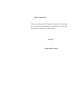 Hoạt động của Công ty tài chính Dầu khí thuộc Tập đoàn Dầu khí Việt Nam kinh nghiệm và giải pháp.pdf