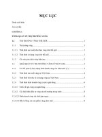 Sàn giao dịch vàng – Sân chơi cho các nhà đầu tư Việt Nam.pdf