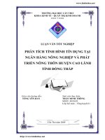 Phân tích tình hình tín dụng tại Ngân hàng Nông nghiêp và phát triển Nông thôn chi nhánh huyện Cao Lãnh tỉnh Đồng Tháp.pdf