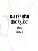 Hình học xạ ảnh 37
