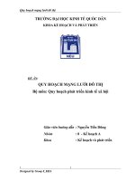 Quy hoạch mạng lưới đô thị.docx